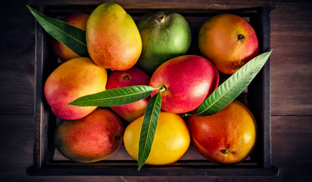 Os benefícios da fruta Manga Ubá
