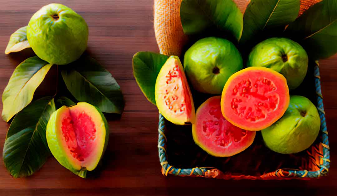 Vermelha ou branca, goiaba é rica em vitaminas e minerais importantes à saúde