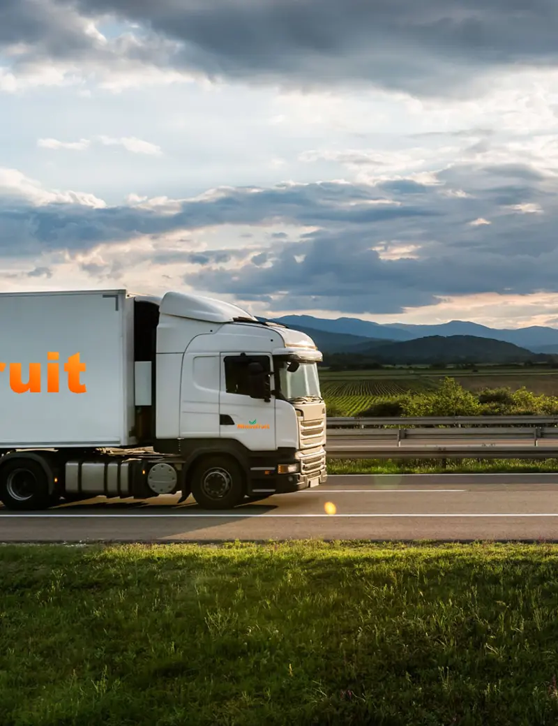 Minasfruit transporte