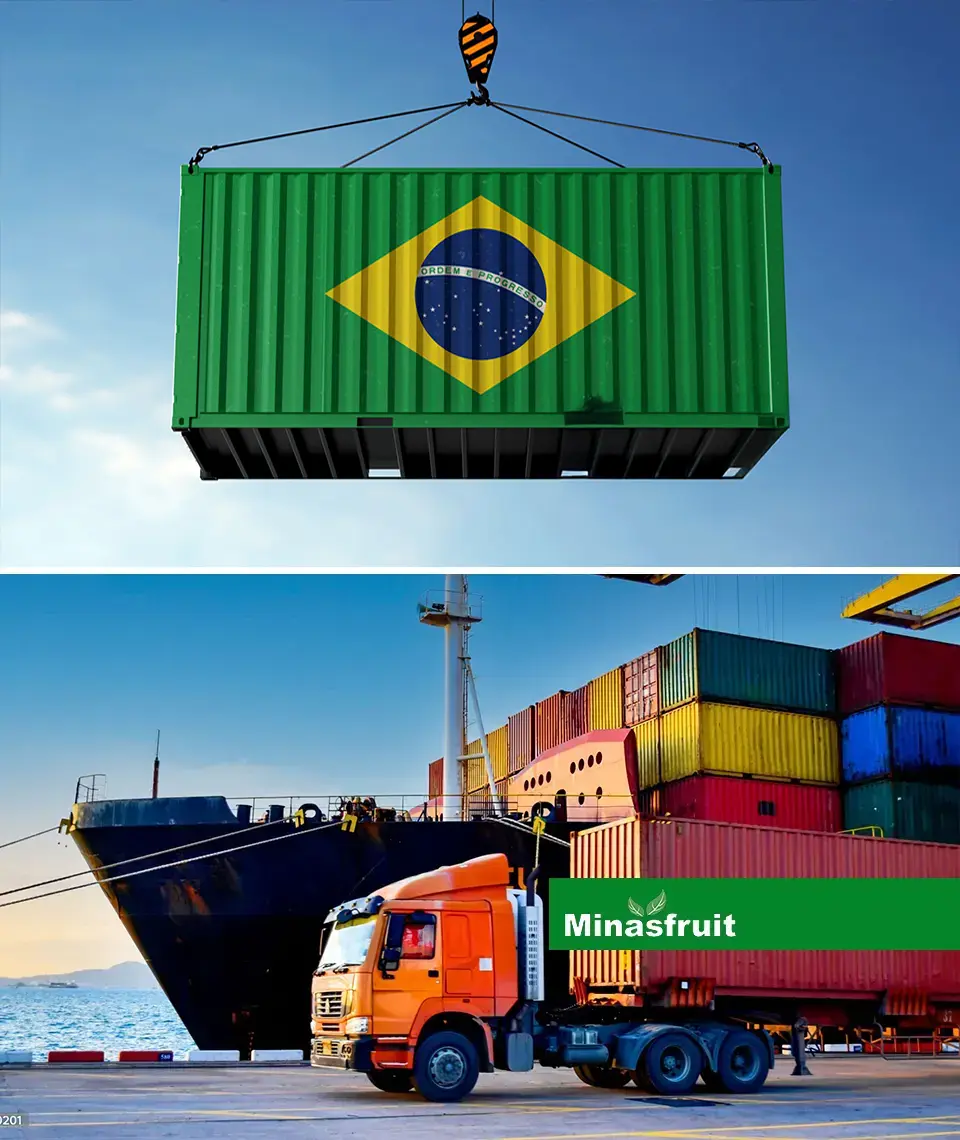 Minasfruit - Exportação - Transporte Container Brasil
